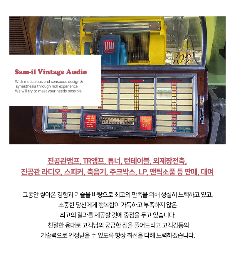 사업분야